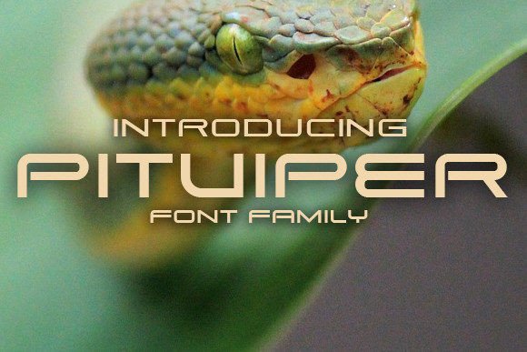 How Pitviper Brought Bold Energy to My Lifestyle Blog Redesign